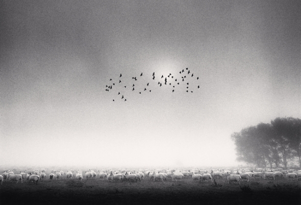 http://www.michaelkenna.net/gallery_images/3f109711.jpg