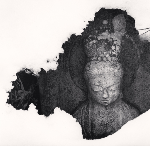 Splash Page